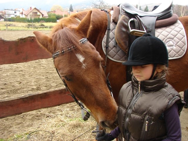 Hubertus 2010